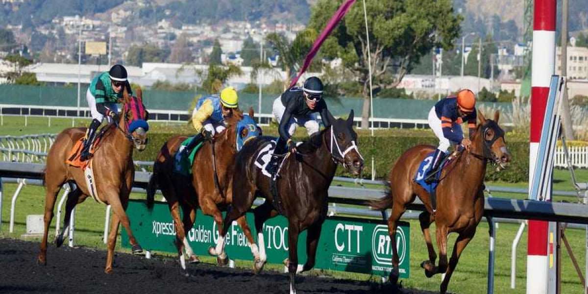 Mastering the Best Sports Betting Sites